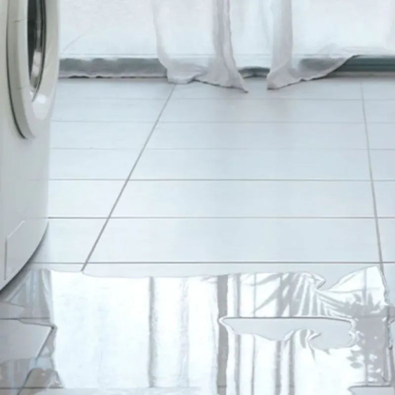 Appliance Leak Cleanup in Royalton, IL