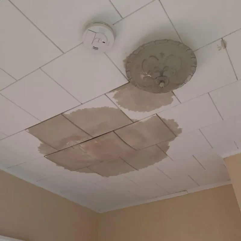 Ceiling Water Damage Repair in Royalton, IL