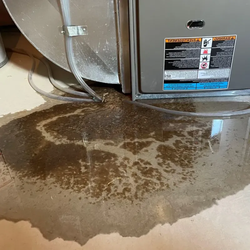 Pipe Burst and Leak Restoration in Royalton, IL